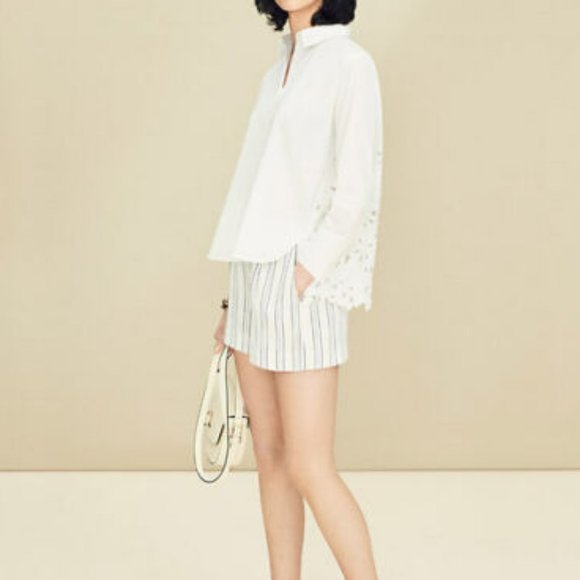 Ann Taylor White & Blue Striped Drapey Shorts - Picture 5 of 5